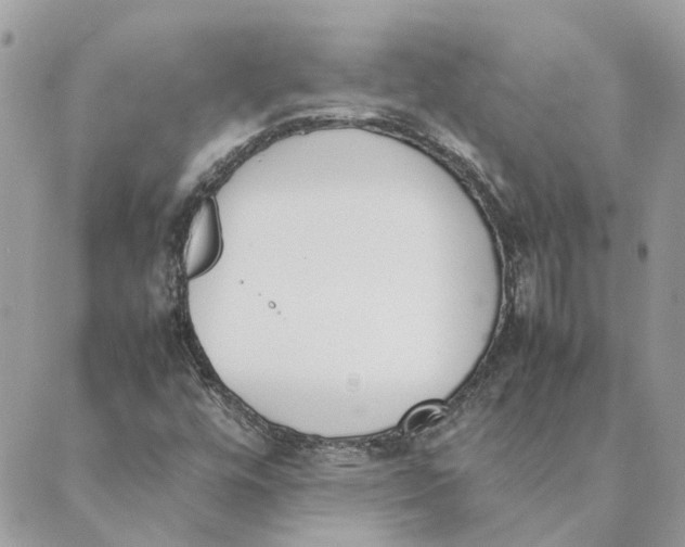 X0000089401448200707061217