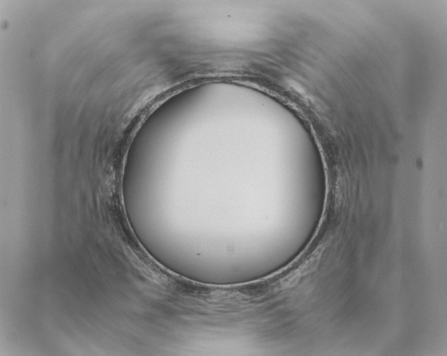 X0000089401449200707061217