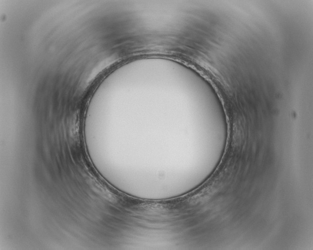 X0000089401450200707061217