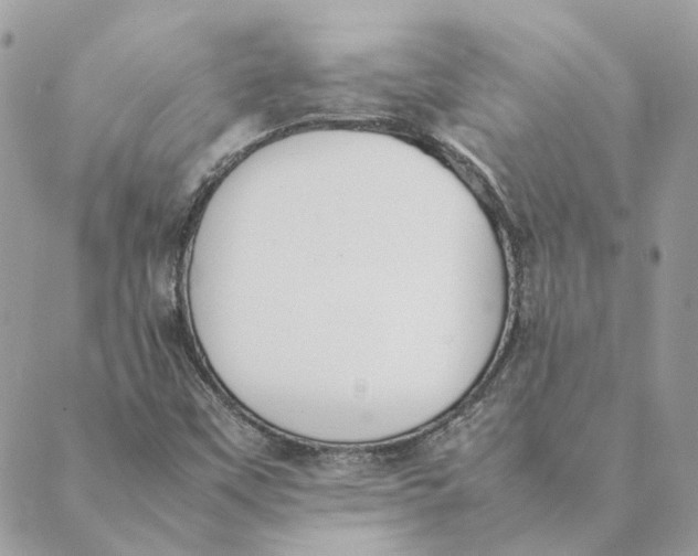 X0000089401451200707061217