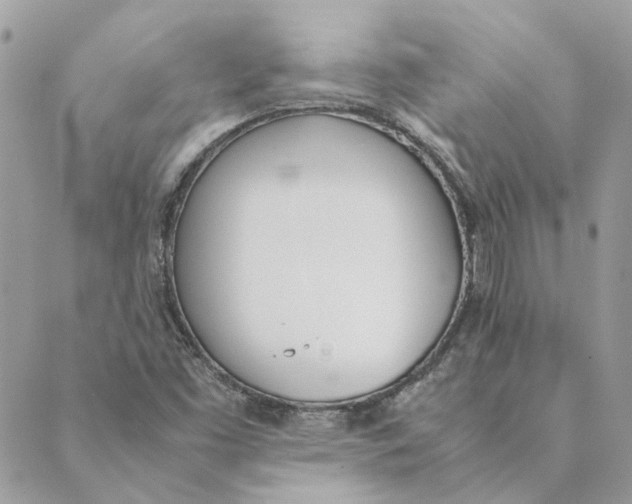 X0000089401453200707061217