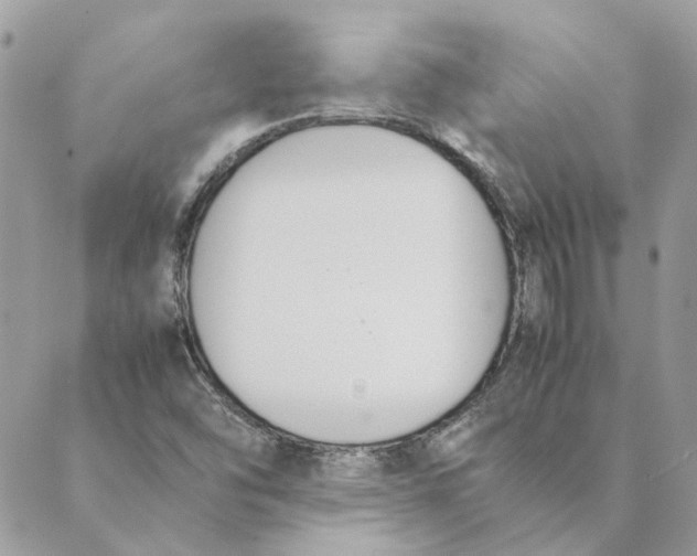 X0000089401454200707061217