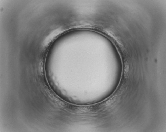 X0000089401455200707061217