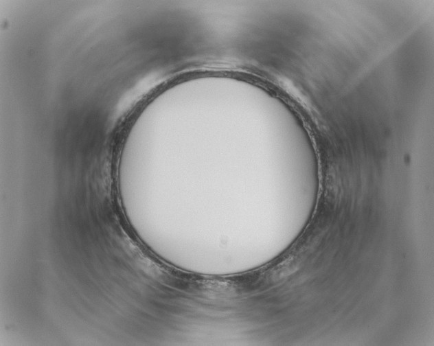 X0000089401456200707061217