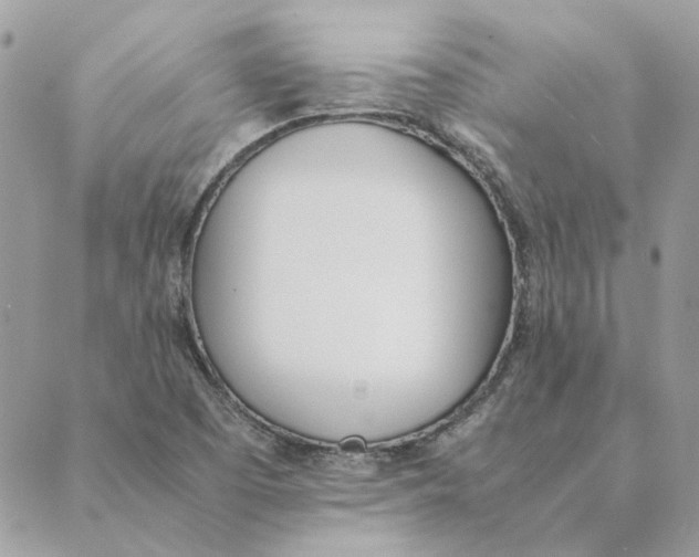 X0000089401457200707061216