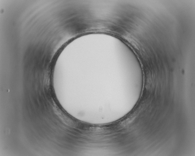 X0000089401458200707061216