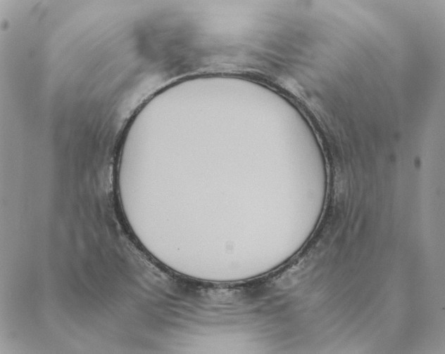 X0000089401459200707061216