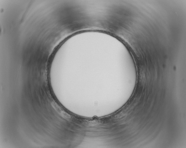 X0000089401460200707061216