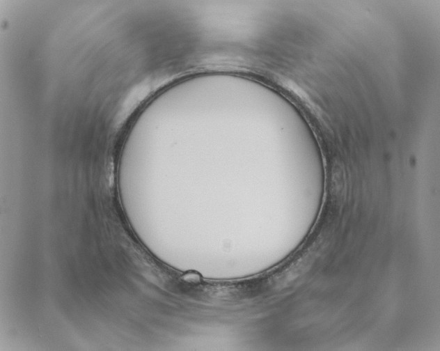 X0000089401461200707061216