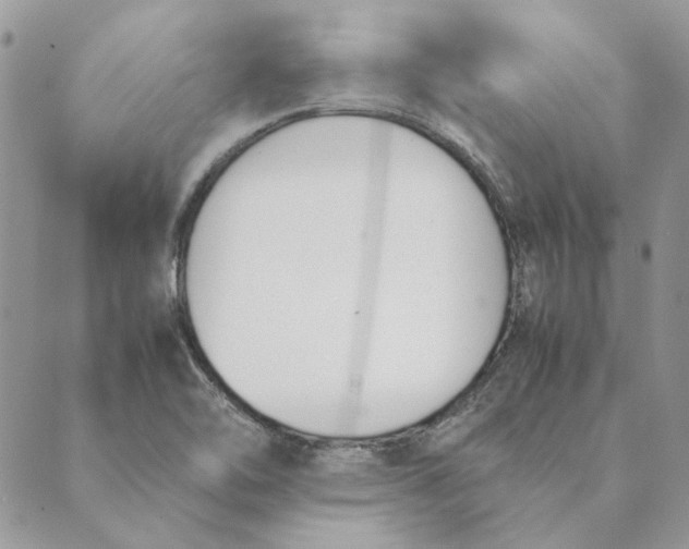 X0000089401462200707061216