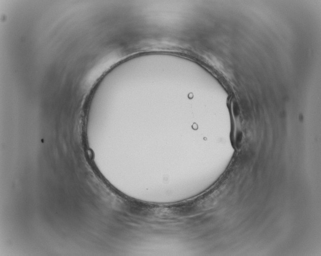 X0000089401463200707061216