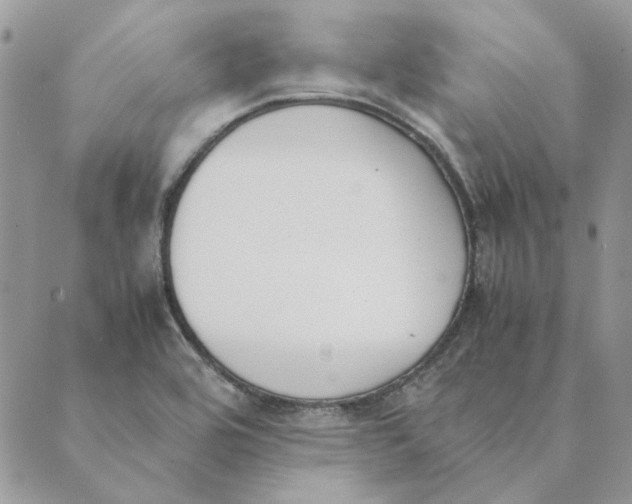 X0000089401464200707061216