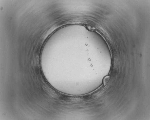 X0000089401465200707061216