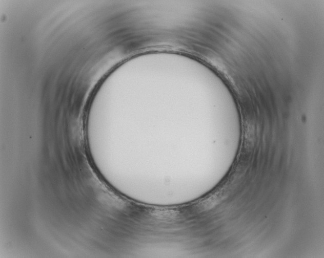 X0000089401466200707061216