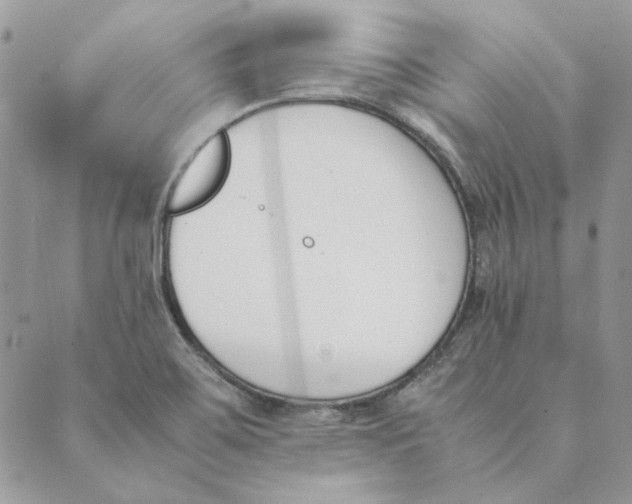 X0000089401467200707061216