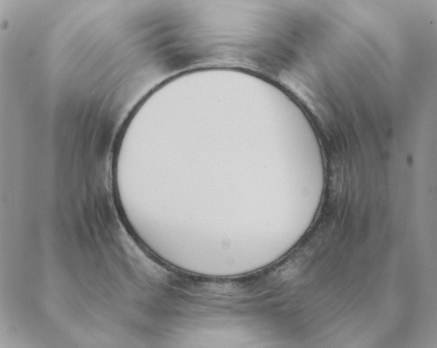 X0000089401468200707061216