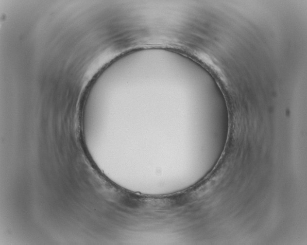 X0000089401469200707061216