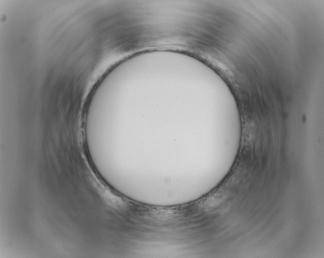 X0000089401470200707061216