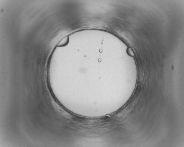 X0000089401471200707061216