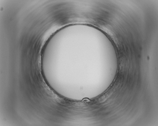 X0000089401472200707061216