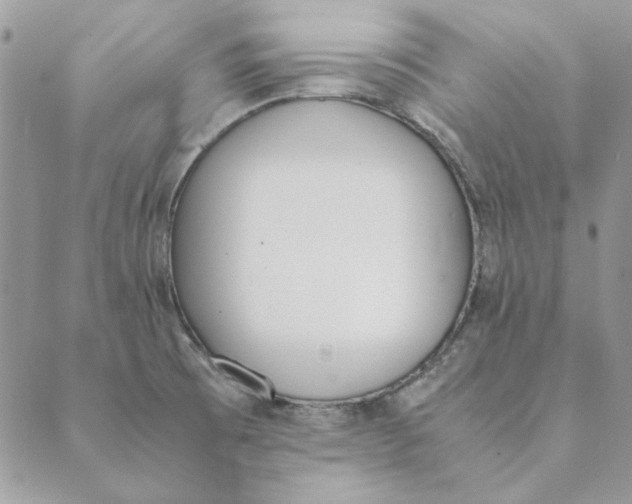 X0000089401473200707061216