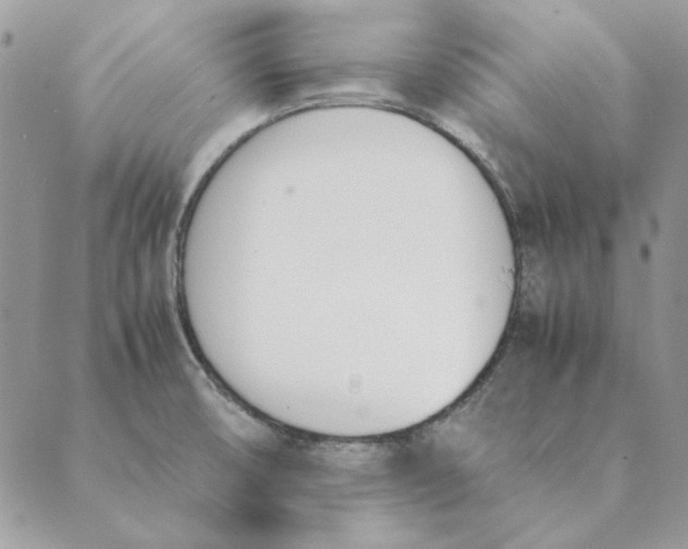 X0000089401474200707061216