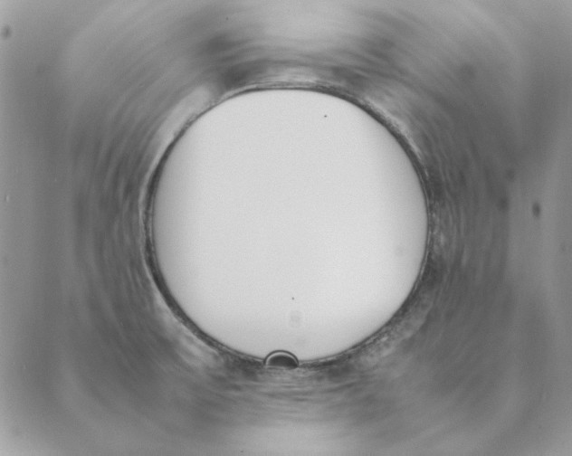 X0000089401475200707061216