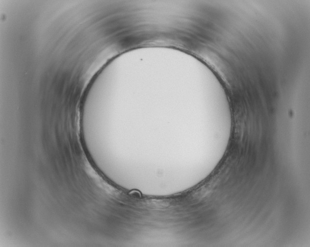 X0000089401476200707061216