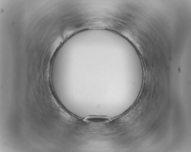 X0000089401477200707061216