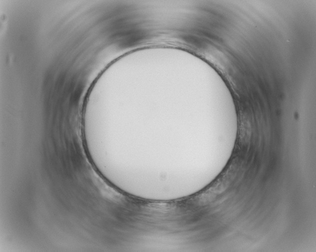 X0000089401478200707061216