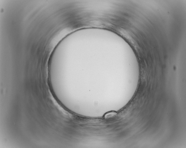 X0000089401479200707061216