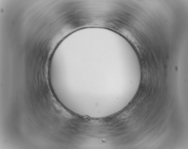 X0000089401480200707061216