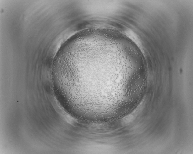 X0000089401481200707061216