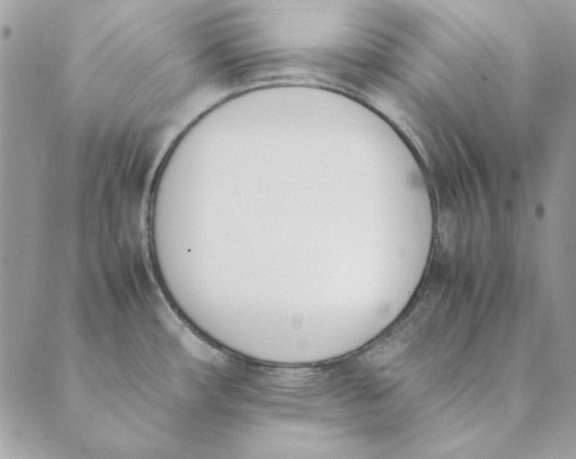 X0000089401482200707061216