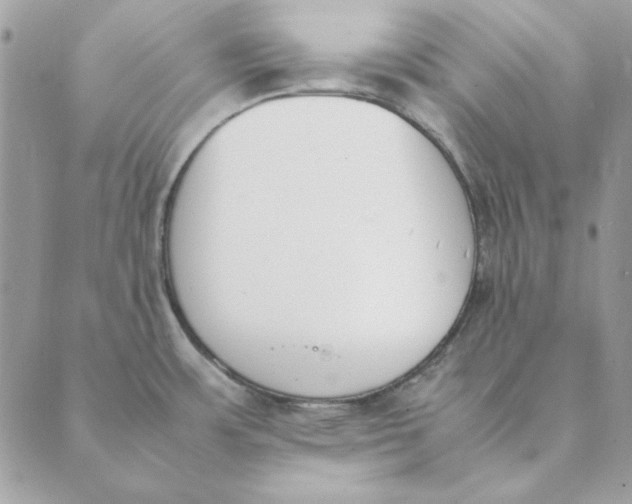 X0000089401483200707061216