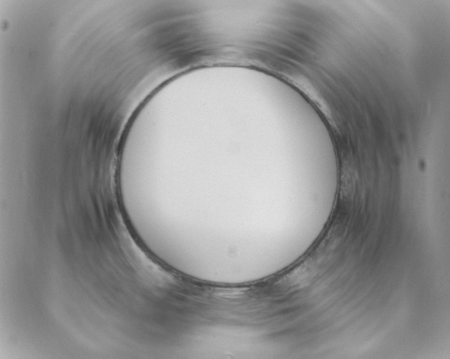 X0000089401484200707061216