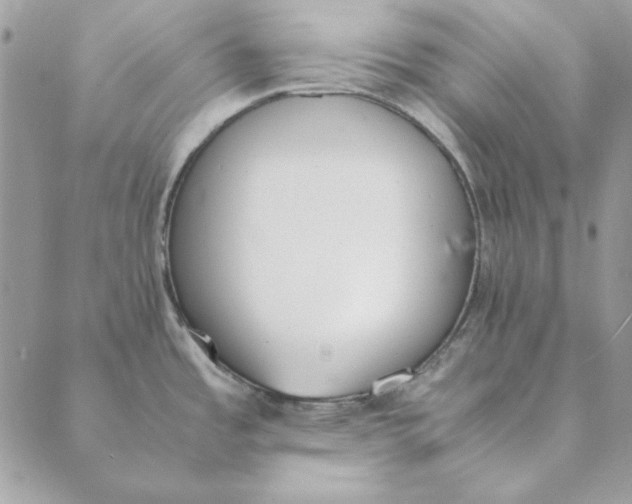 X0000089401485200707061216