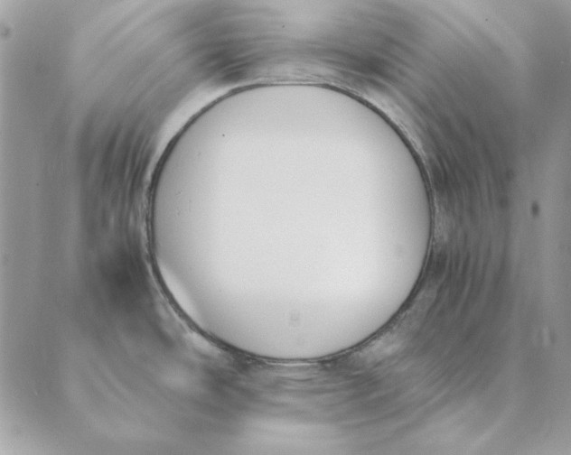 X0000089401486200707061216