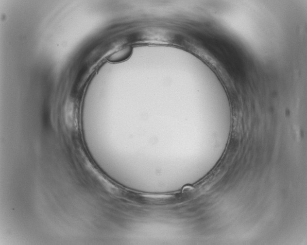 X0000089401487200707061216