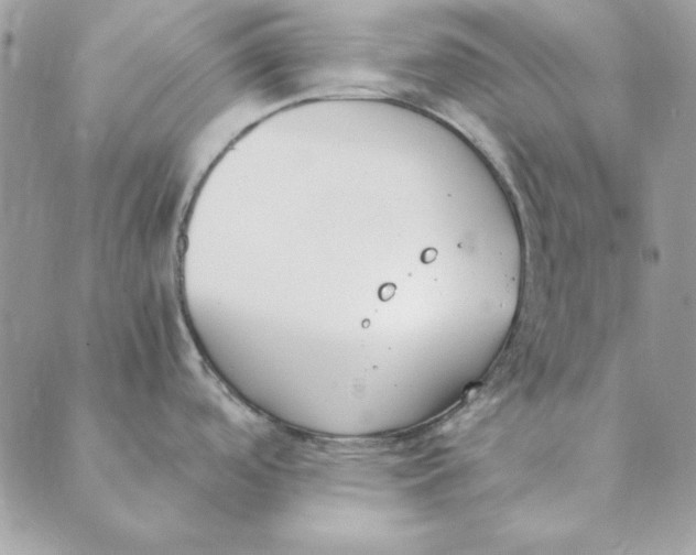 X0000089401488200707061216