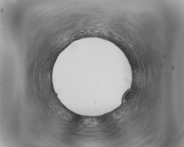 X0000089401489200707061215