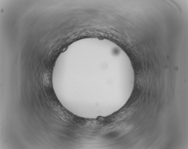 X0000089401490200707061215