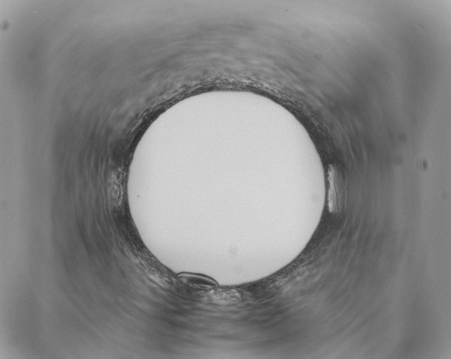 X0000089401491200707061215