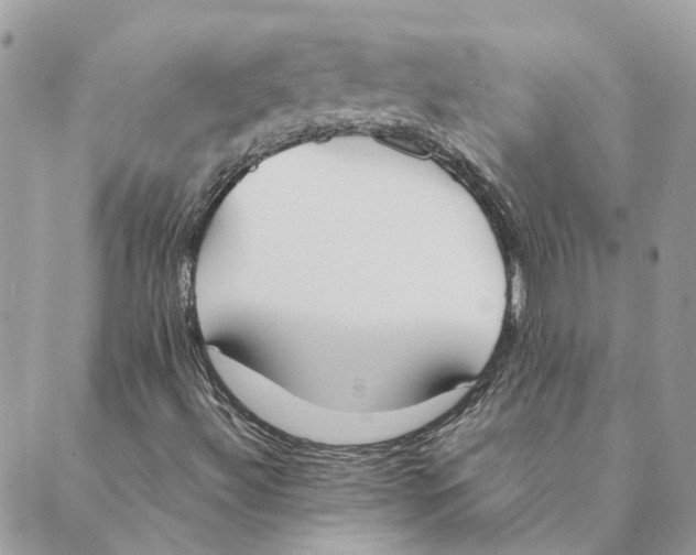 X0000089401492200707061215