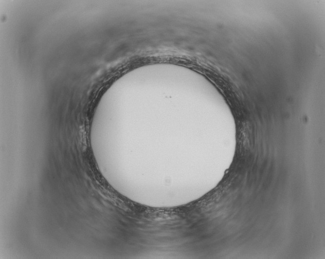 X0000089401493200707061215