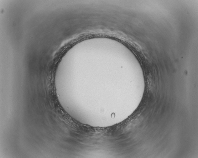 X0000089401494200707061215