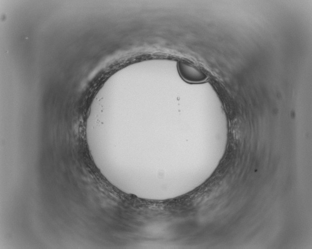 X0000089401495200707061215