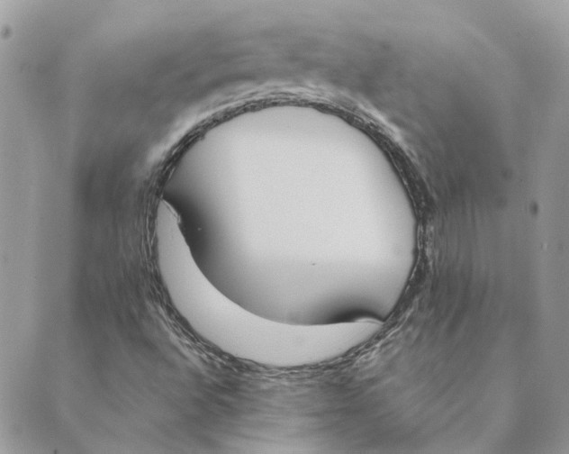 X0000089401496200707061215