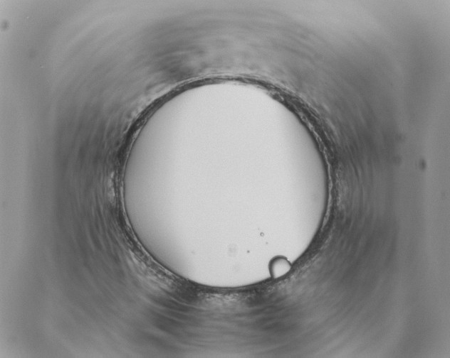 X0000089401497200707061215