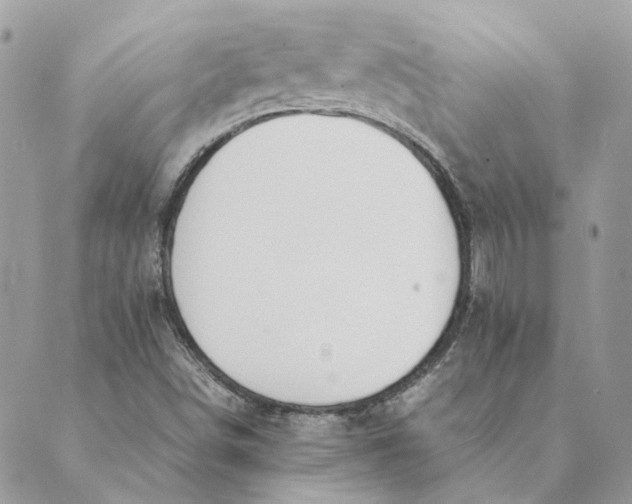 X0000089401498200707061215